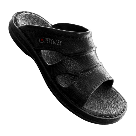 hercules-negro-vista